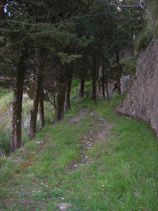 18 - Viale di arrivo al Castello 
